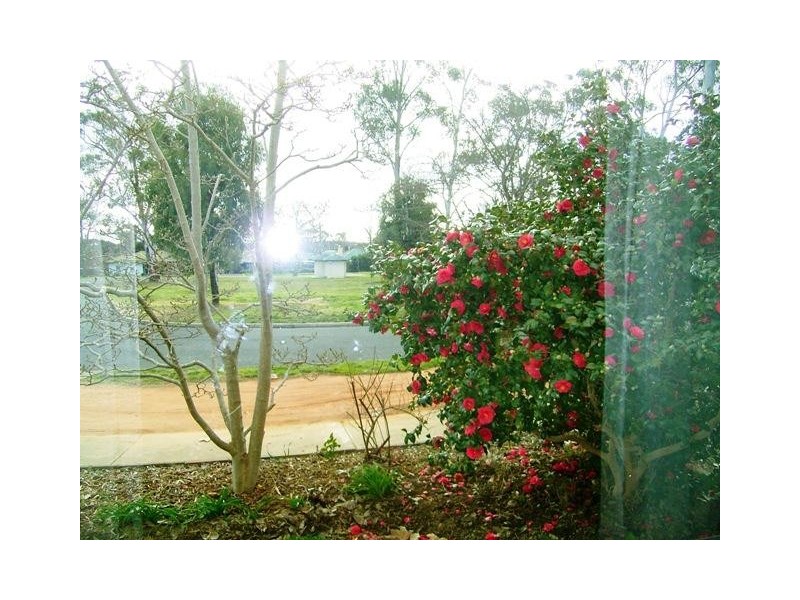 10 Cox Street, Ainslie ACT 2602