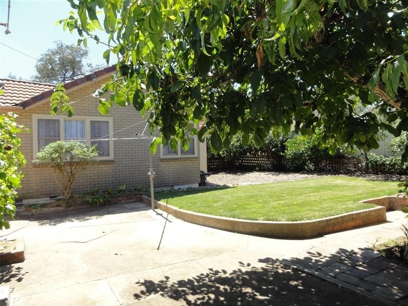 24 Macarthur Avenue, O’connor ACT 2602