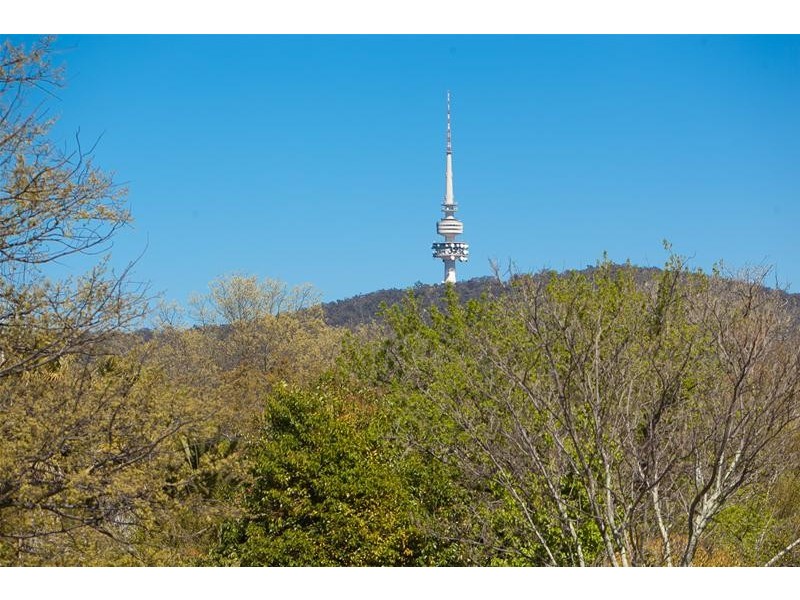 1/6 Towns Crescent, Turner ACT 2612