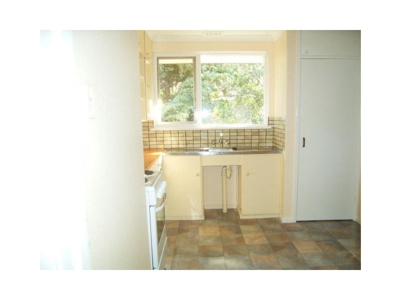 3 Cassinia Street, O’connor ACT 2602