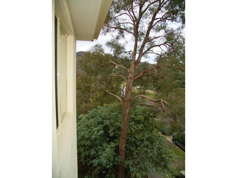 71/65 Ainslie Avenue, Braddon ACT 2612