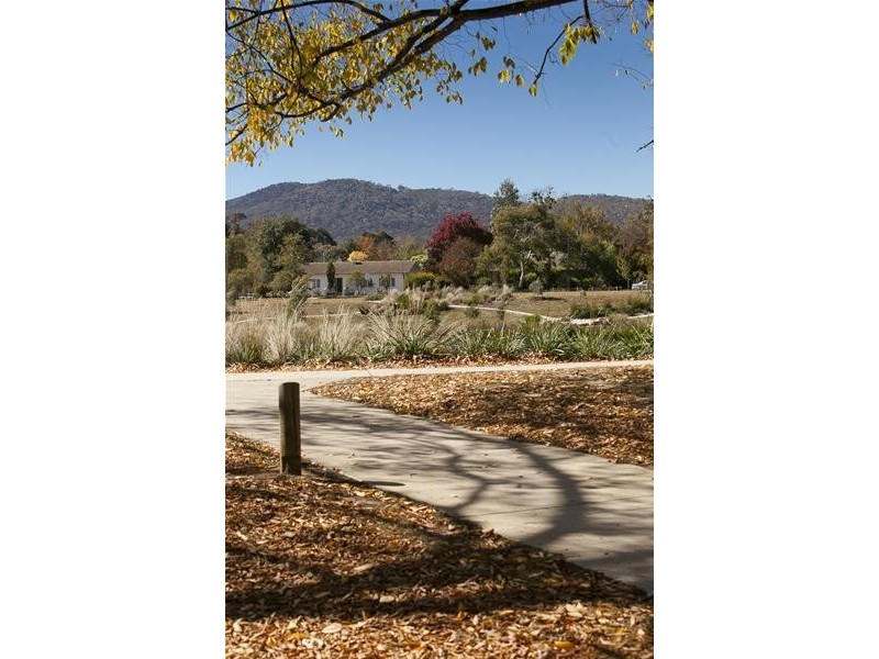 14 Dutton Street, Dickson ACT 2602