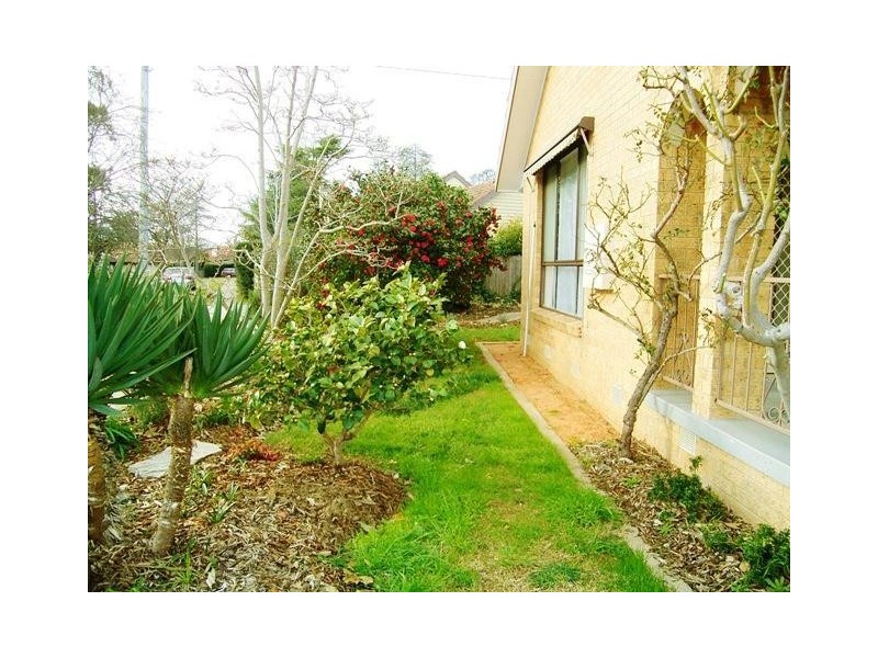 10 Cox Street, Ainslie ACT 2602