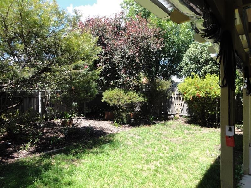 1/3 Ling Place, Amaroo ACT 2914