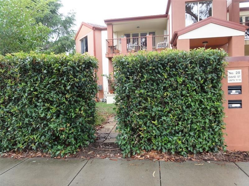 14/28 David Street, Turner ACT 2612