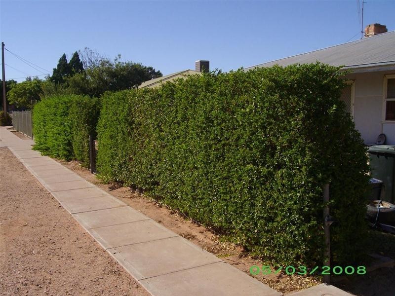 33 Johnson Avenue, Stirling North SA 5710