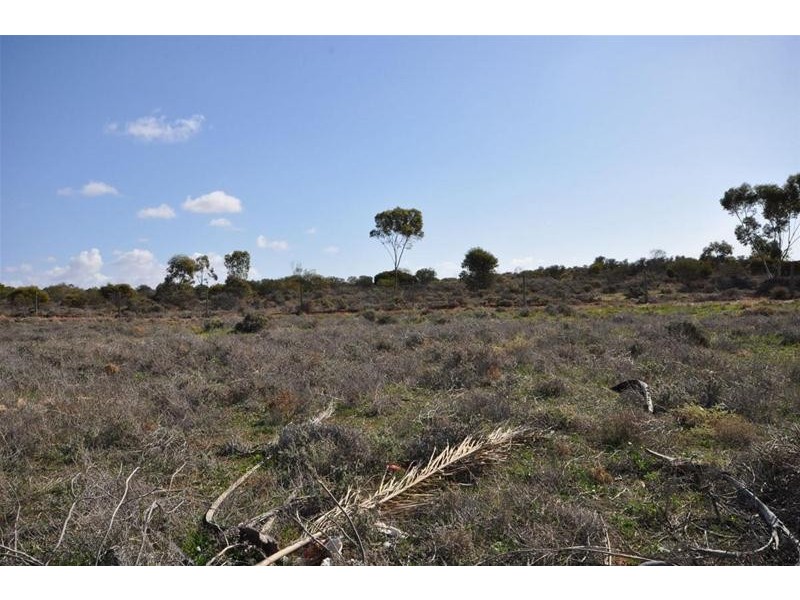 56 Hurcombe Crecent, Port Augusta West SA 5700