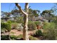 7 Wastell Street, Stirling North SA 5710