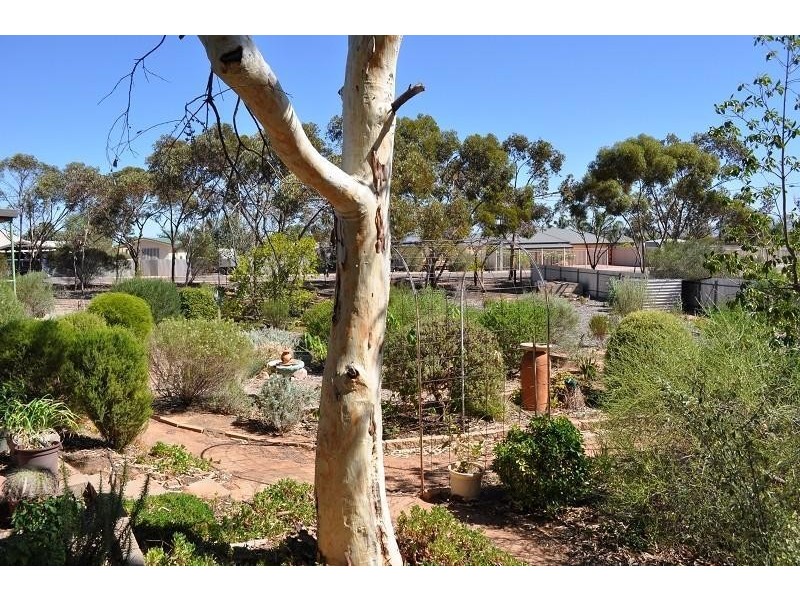 7 Wastell Street, Stirling North SA 5710