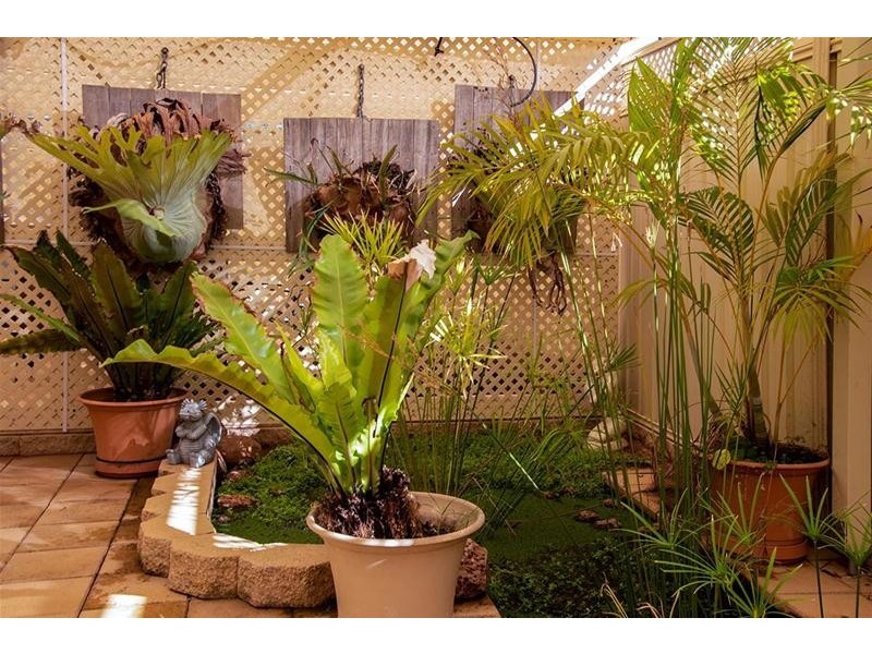 56 Chinnery Street, Port Augusta West SA 5700