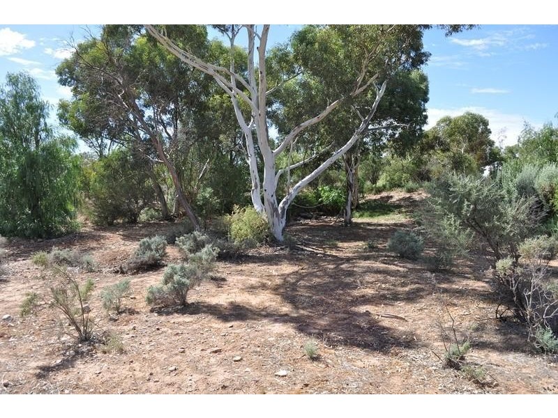 471 Flinders Ranges Way, Stirling North SA 5710