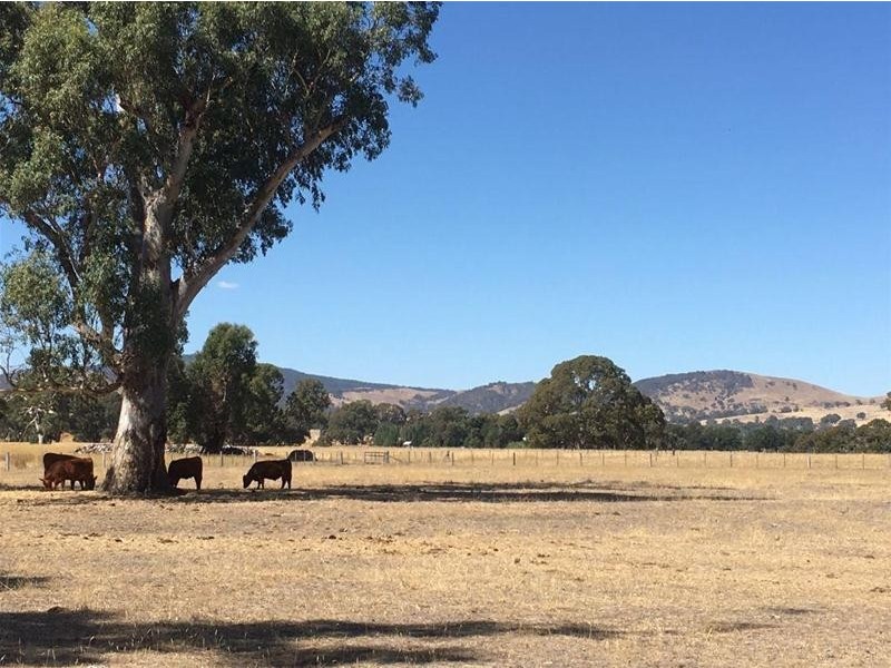 2778 Pyrenees Highway, Elmhurst VIC 3469