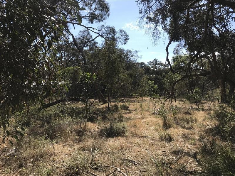 CA/50A Selwood Road, Ararat VIC 3377