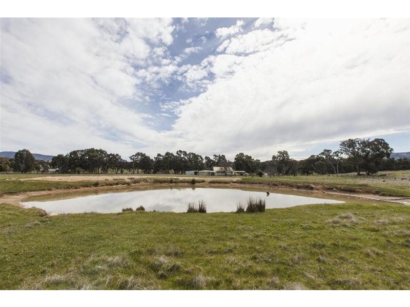 147 Back Amphitheatre Road, Amphitheatre VIC 3468