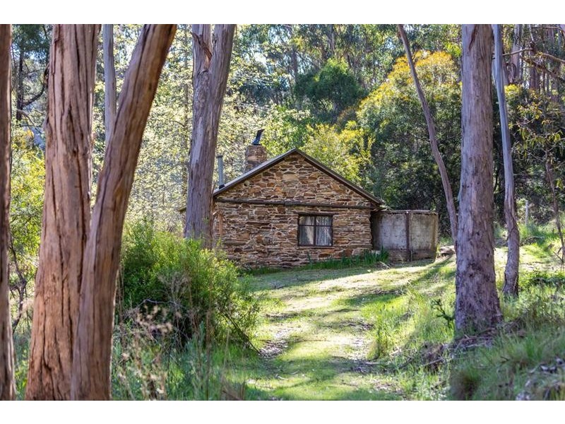 180 Spring Creek Road, Nowhere Creek VIC 3469