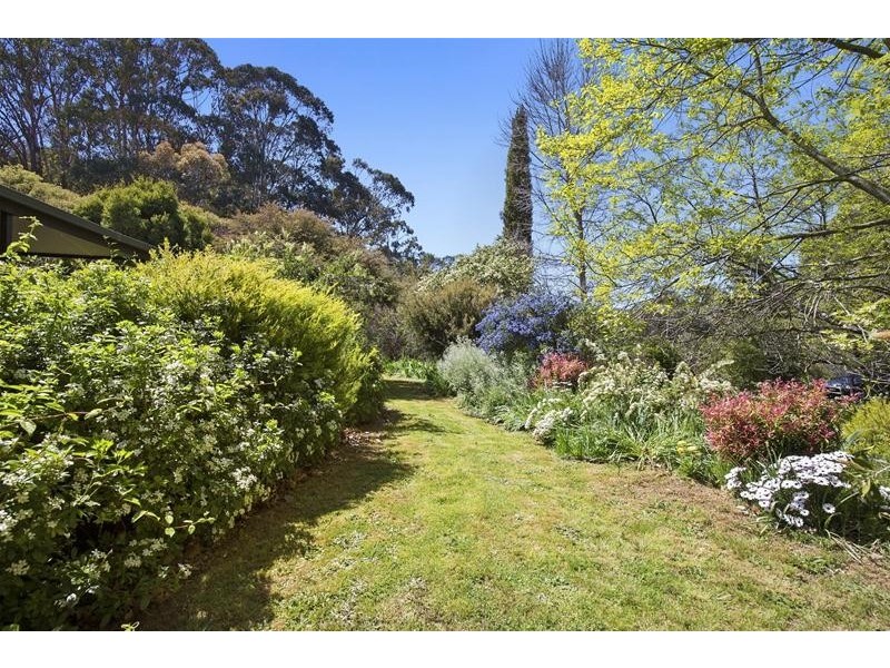 180 Spring Creek Road, Nowhere Creek VIC 3469