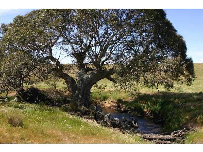 Old Geelong Road, Dobie, Ararat VIC 3377