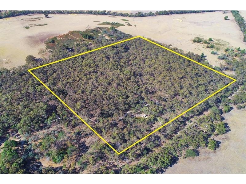 45B Scholes Road, Raglan VIC 3373