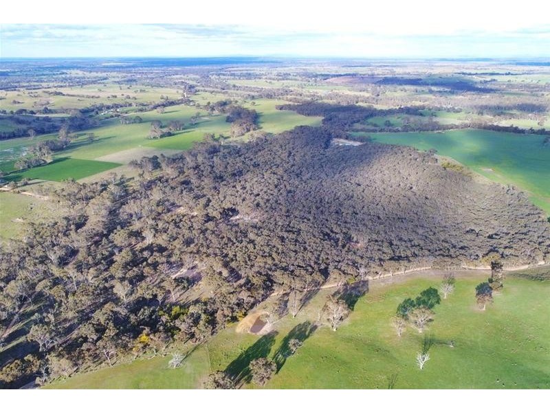 Cnr Andersons & McDonalds Road, Glenlogie VIC 3469