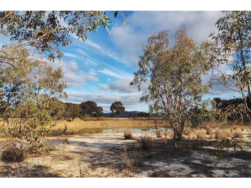 Cnr Andersons & McDonalds Road, Glenlogie VIC 3469