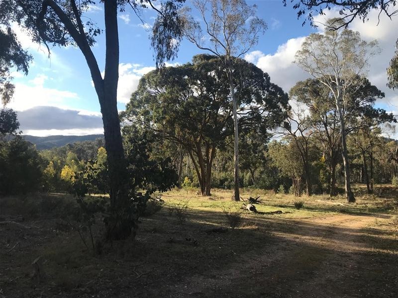 Cnr Andersons & McDonalds Road, Glenlogie VIC 3469