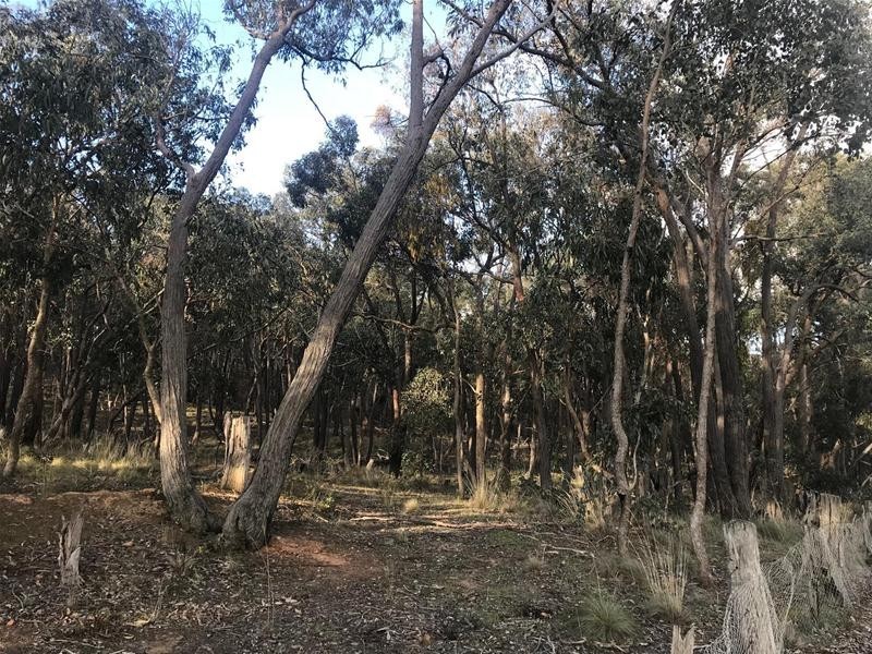 Cnr Andersons & McDonalds Road, Glenlogie VIC 3469