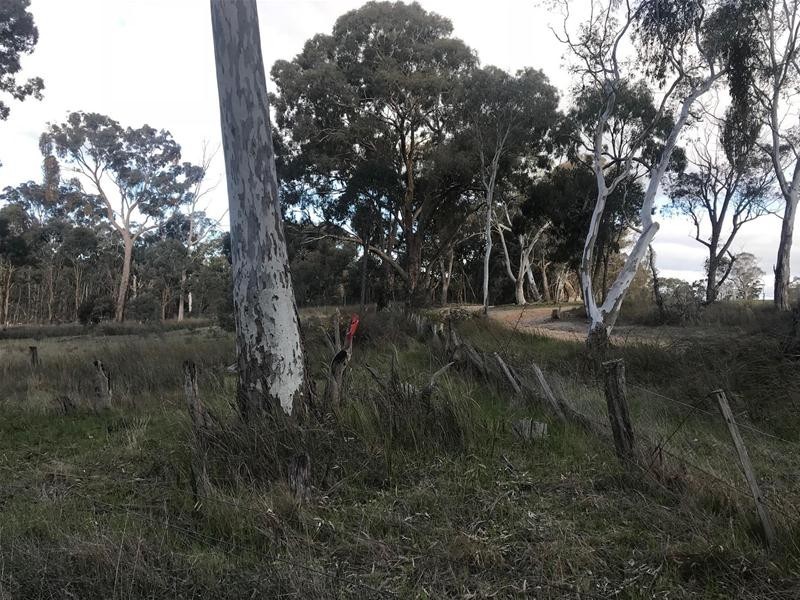 Cnr Andersons & McDonalds Road, Glenlogie VIC 3469