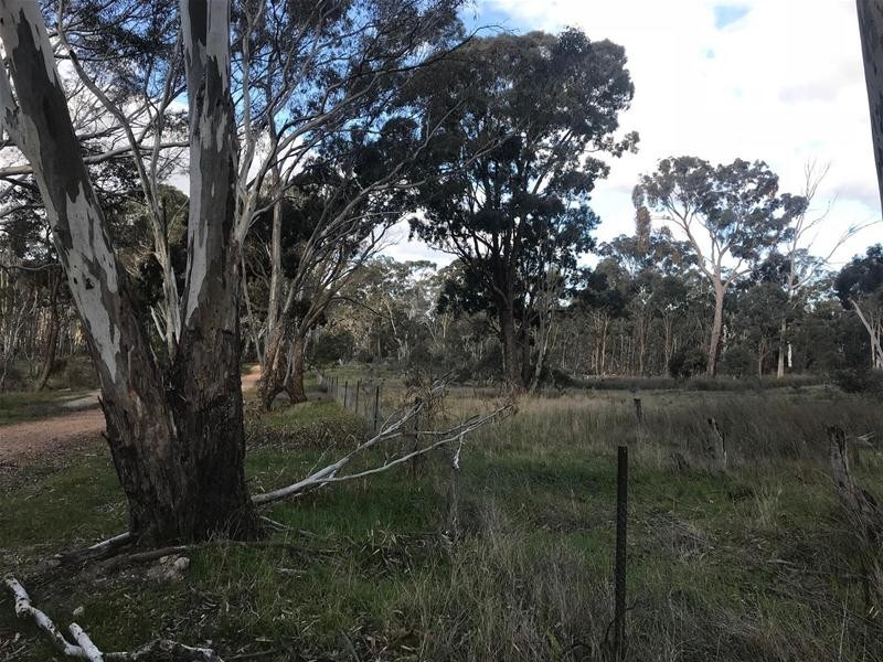 Cnr Andersons & McDonalds Road, Glenlogie VIC 3469