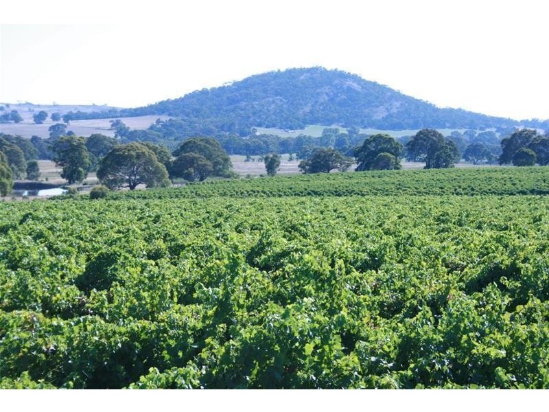 563 Sugarloaf Road, Great Western VIC 3374