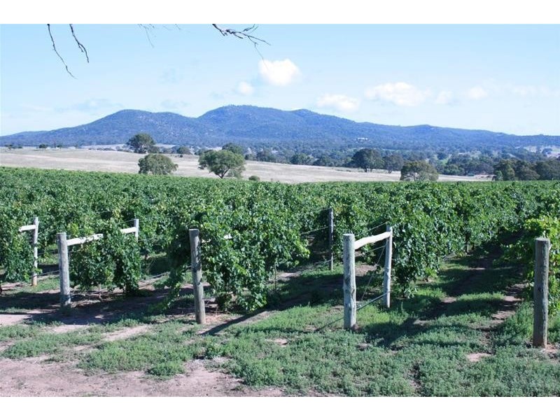 563 Sugarloaf Road, Great Western VIC 3374