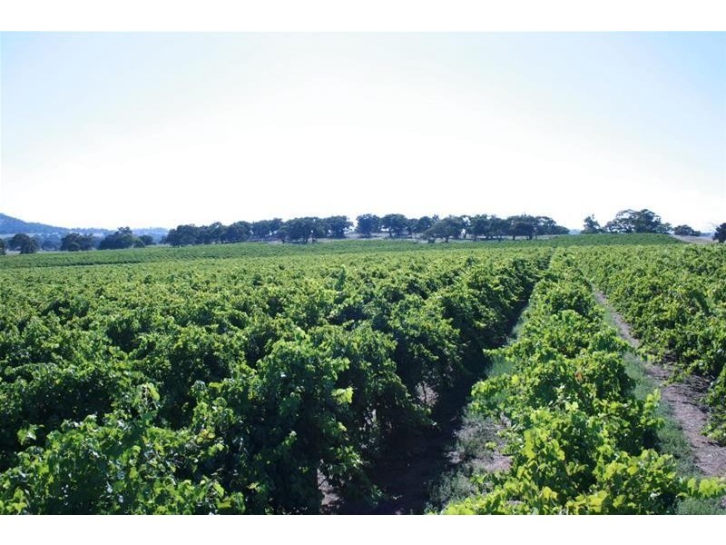 563 Sugarloaf Road, Great Western VIC 3374