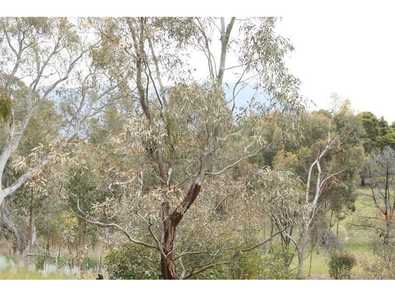 54J Moyston Dunkeld Road, Moyston VIC 3377