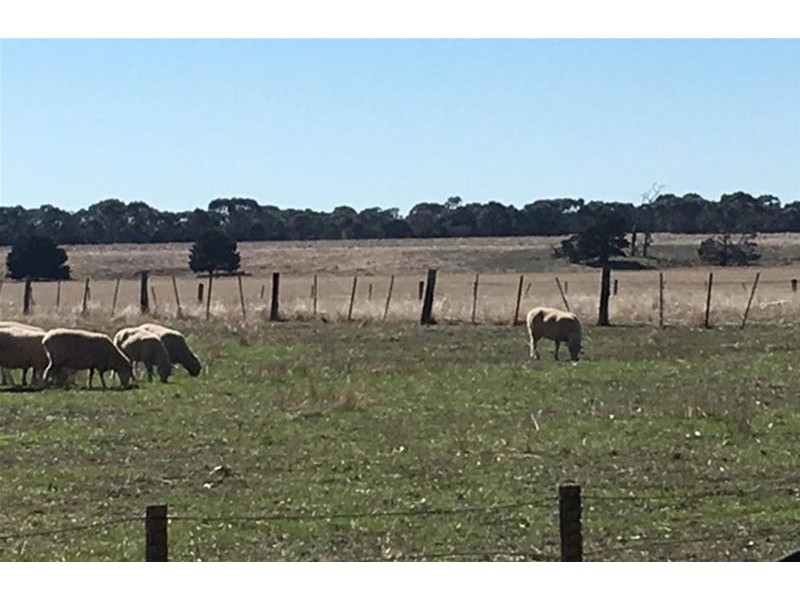 52 Campbell Street, Streatham VIC 3351