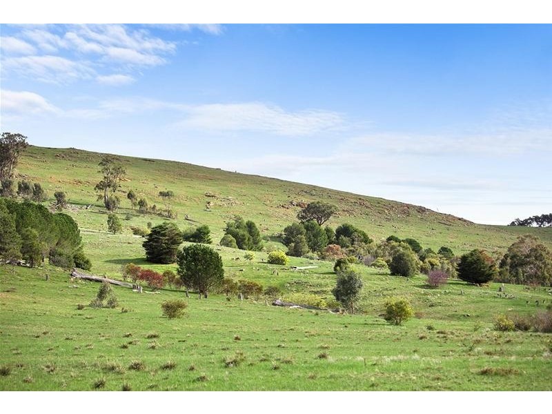 54 Hogan Lane, Landsborough VIC 3384