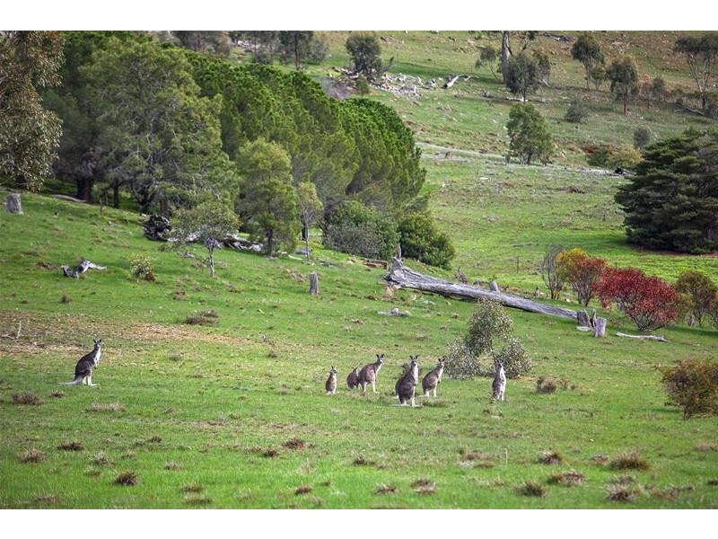 54 Hogan Lane, Landsborough VIC 3384