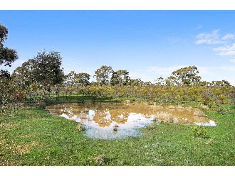 54 Hogan Lane, Landsborough VIC 3384