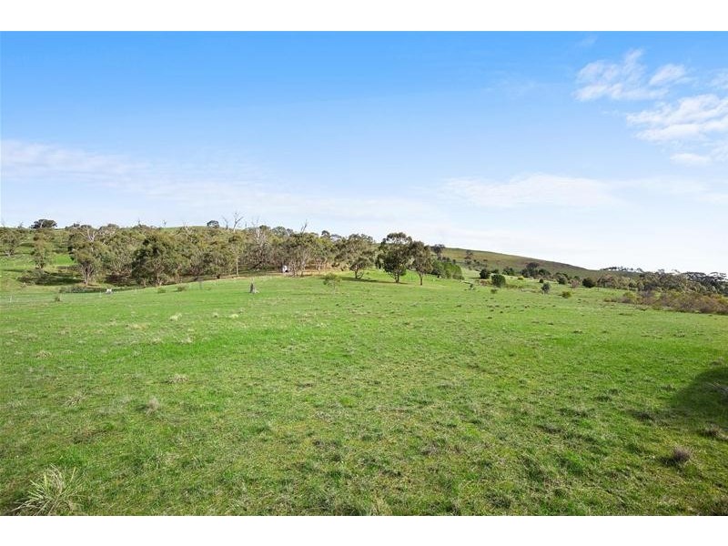 54 Hogan Lane, Landsborough VIC 3384