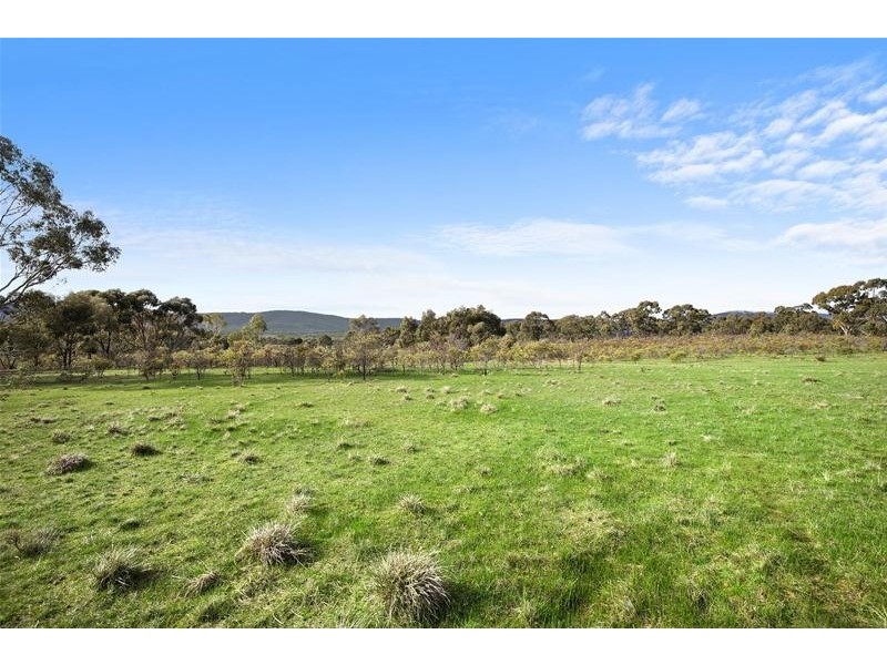 54 Hogan Lane, Landsborough VIC 3384