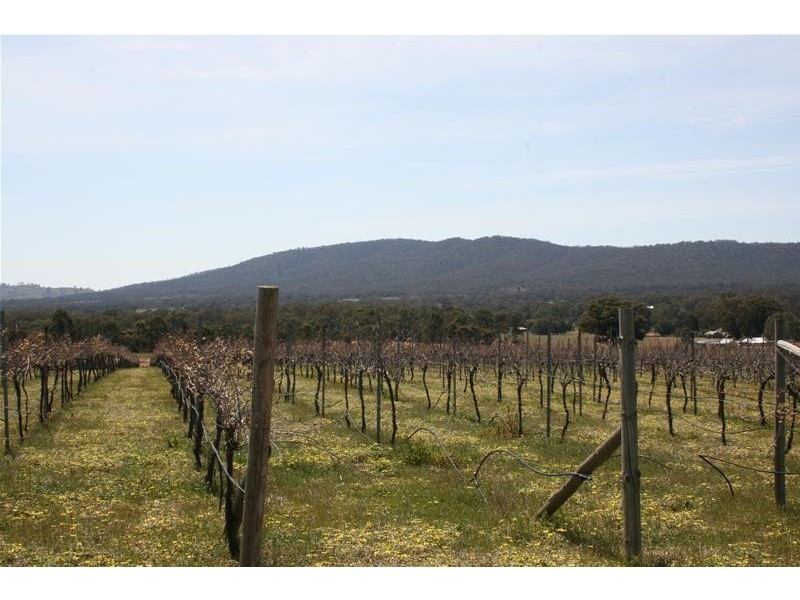 143 Riflebutts Road, Landsborough VIC 3384