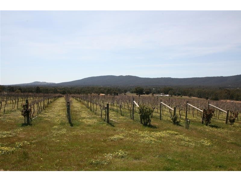 143 Riflebutts Road, Landsborough VIC 3384