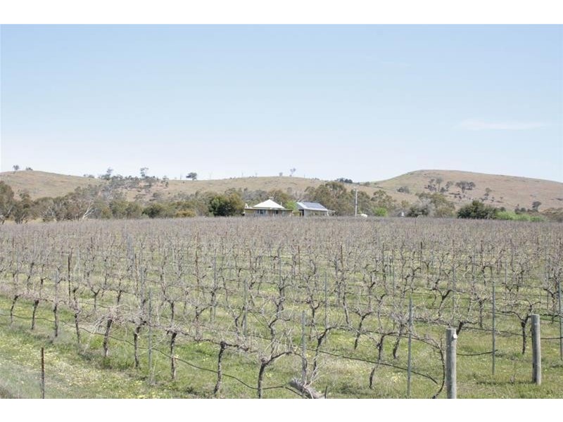 143 Riflebutts Road, Landsborough VIC 3384