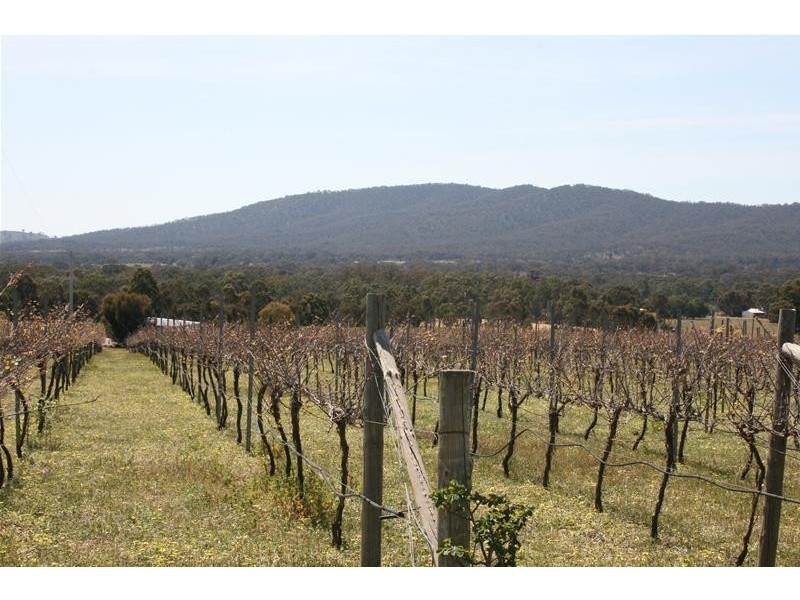 143 Riflebutts Road, Landsborough VIC 3384