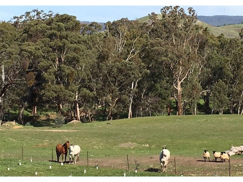 126 Green Street, Elmhurst VIC 3469