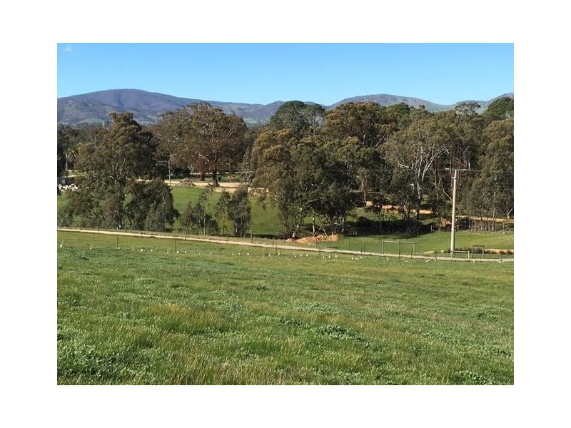 126 Green Street, Elmhurst VIC 3469