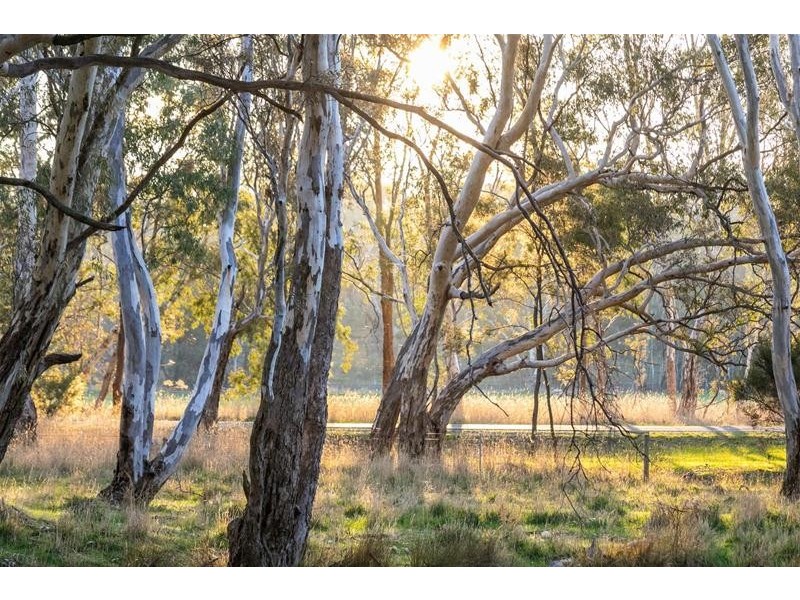 1015 Pyrenees Highway, Amphitheatre VIC 3468