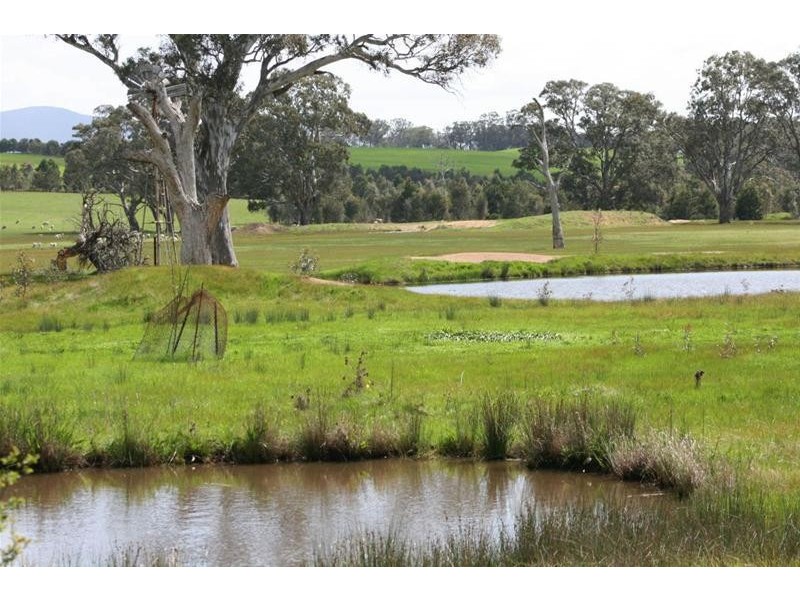 292 Moyston-Dunkeld Road, Moyston VIC 3377