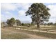 292 Moyston-Dunkeld Road, Moyston VIC 3377