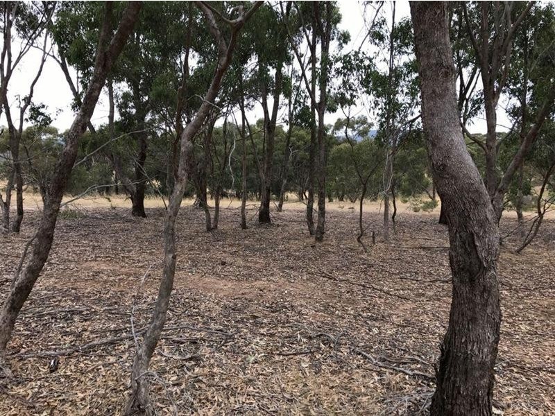 1 Aston Street (Cnr Rifle Butts Rd & Aston St), Landsborough VIC 3384