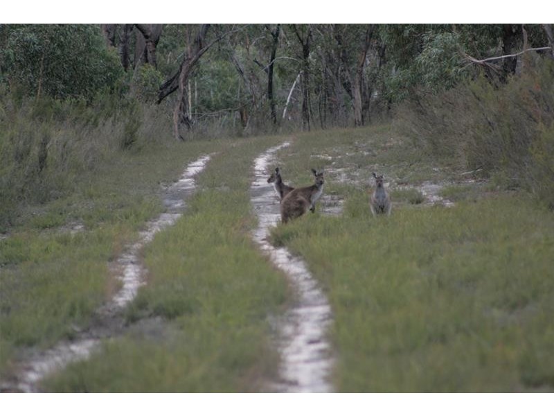 6B Moyston – West Road, Moyston VIC 3377