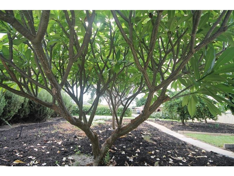 170 Third Avenue, Kelmscott WA 6111